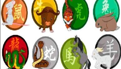 Símbolos Zodiacales Chinos